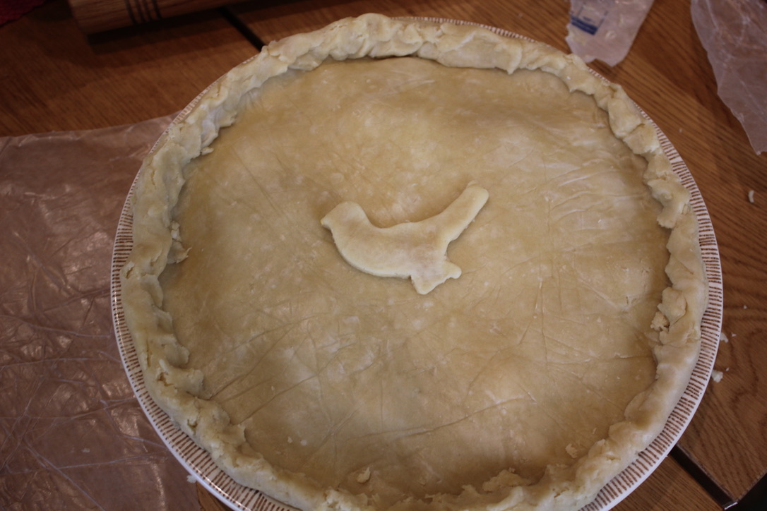 6D4261E0-1AE1-4812-9EDA-840A0A8E058B_1_105_c